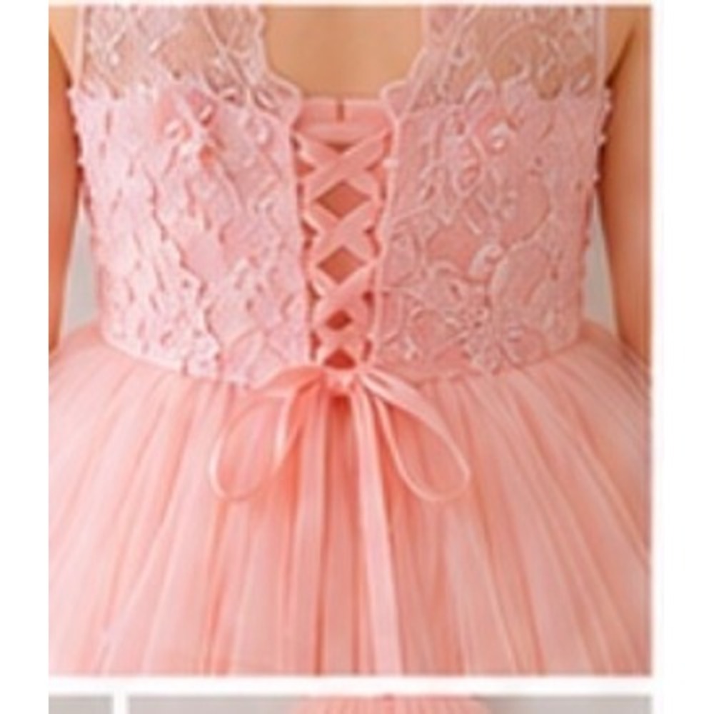 Girls Blush Pink High Low Flower Girl Dress Lace Tulle Pageant Wedding Train - Picture 4 of 10